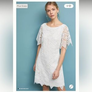 NWT Anthropologie Charleston lace mini dress